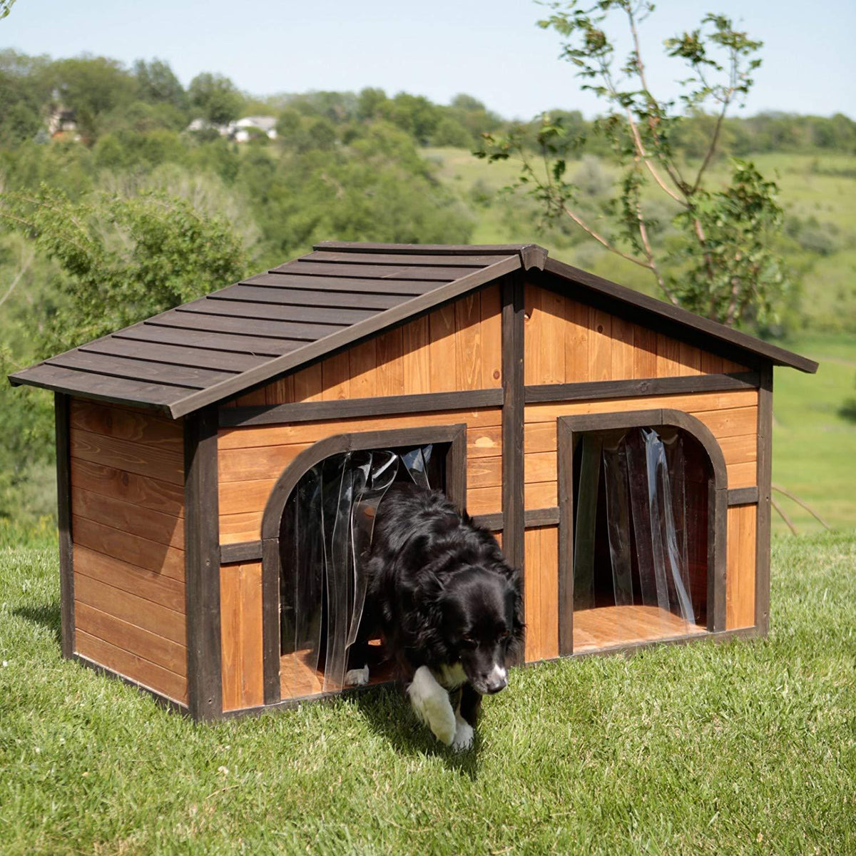 Merry Products Merry Products Darker Stain Duplex Dog House with Dog Doors, Wood, Extra Large
