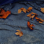 pool leaf net inground 24x40 ft rectangle swimming pool