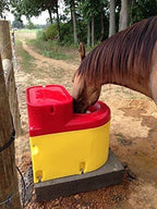 ritchie thrifty king ct1-2000 energy free waterer cattle horses