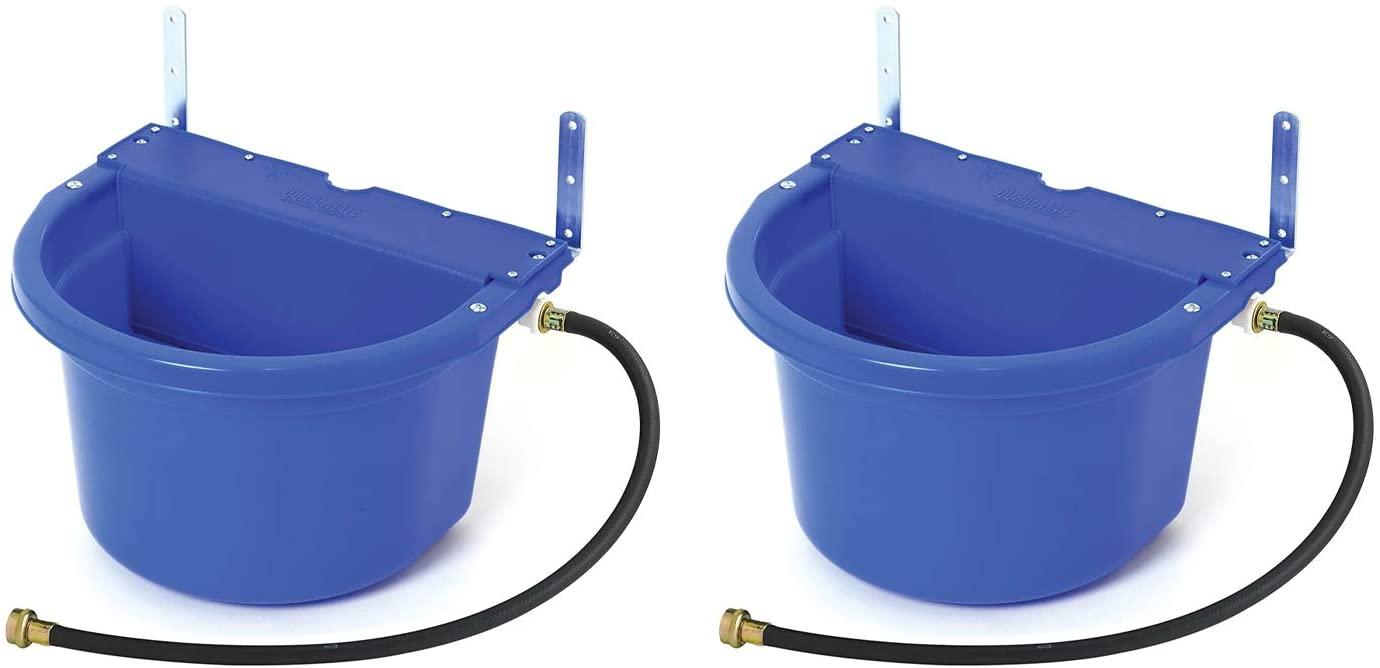 little giant fw16blue 4 gal auto float controlled waterer livestock (2 pack)