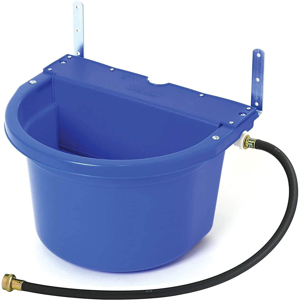 little giant fw16blue 4 gal auto float controlled waterer livestock (2 pack)