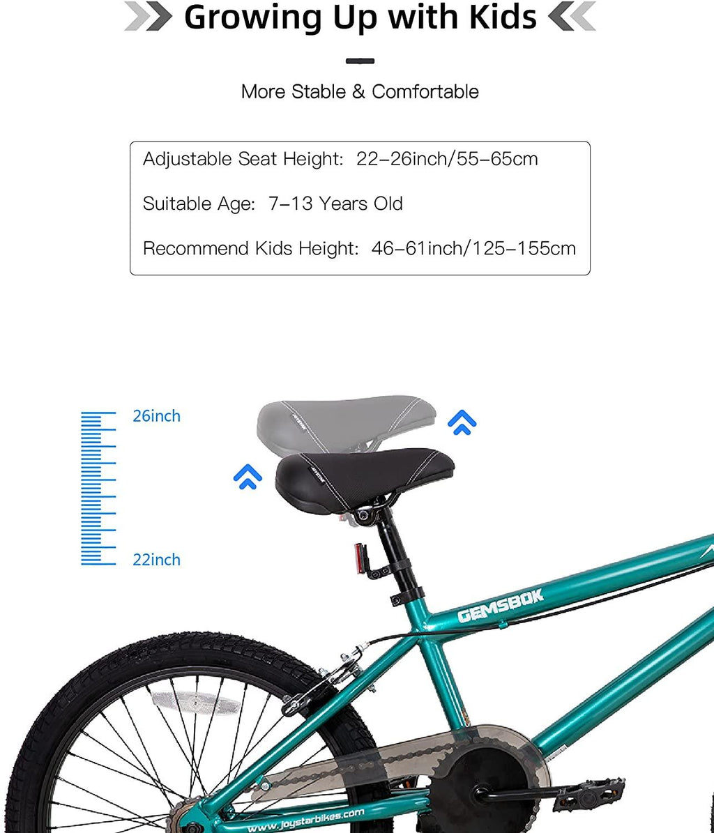 JOYSTAR Gemsbok 20 Inch Kids Bike Freestyle BMX Style for Youth and Beginner Level to Advanced Riders, 20" Wheels Juvenile Bicycles, Dual Hand Brakes Steel Frame, Black Green Oil Slick
