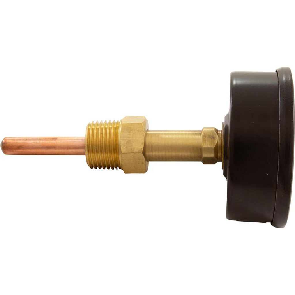 Raypak Temperature &amp; Pressure Gauge Kit, Raypak Hydronic Heaters