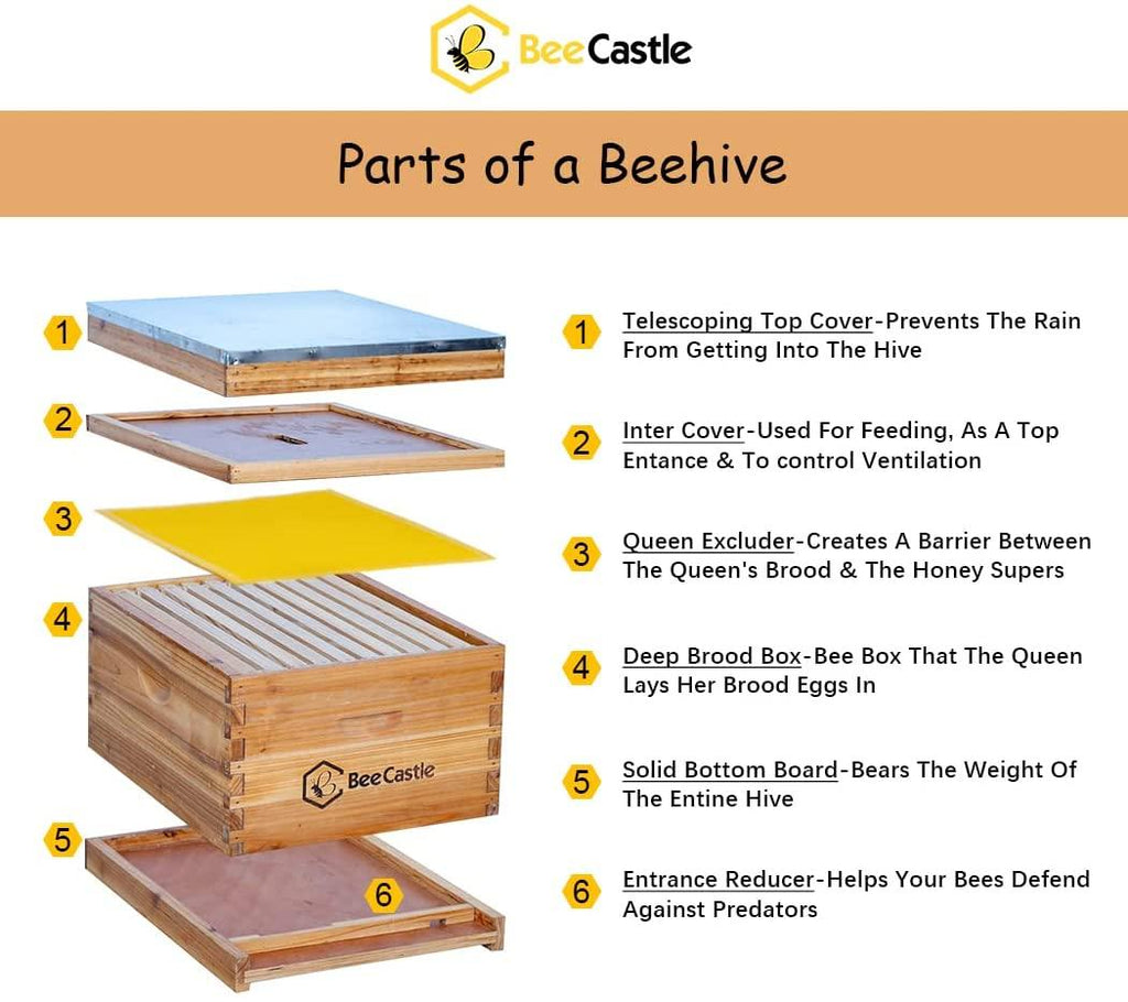 10-frame bee hives and supplies starter kit,beehive kit dipped in 100% beeswax,bee keeping supplies-all beginners kit includes beekeeping supplies tool set and bee suit.