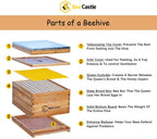 10-frame bee hives and supplies starter kit,beehive kit dipped in 100% beeswax,bee keeping supplies-all beginners kit includes beekeeping supplies tool set and bee suit.
