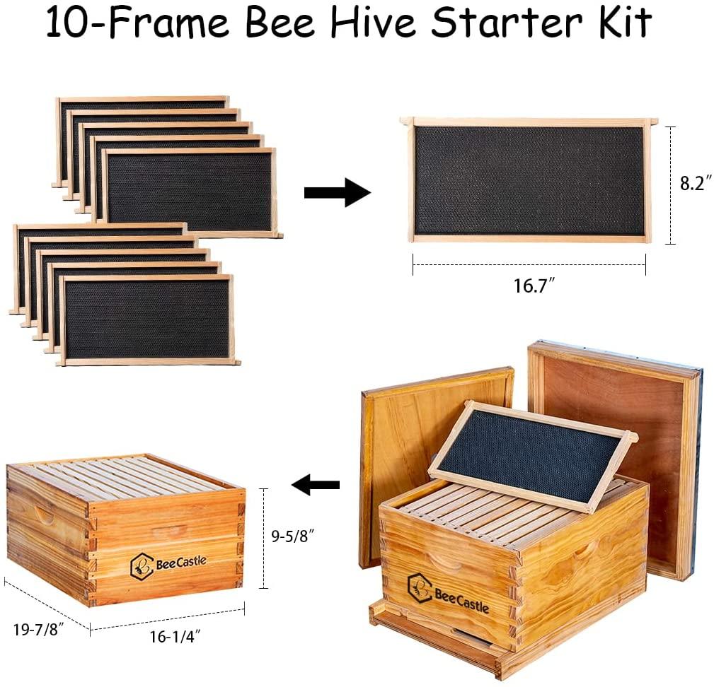 10-frame bee hives and supplies starter kit,beehive kit dipped in 100% beeswax,bee keeping supplies-all beginners kit includes beekeeping supplies tool set and bee suit.
