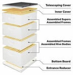 mann lake beehive kit, completely assembled kit, painted, with frames and foundation, ready to use,10 frame kit, 2 deep bee boxes, 2 medium supers, made in the usa