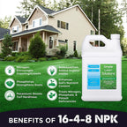 simple lawn solutions - ryan knorr - gallon bundle- lawn essentials bundle box - 3 x 1 gallon set - lawn food 16-4-8 fertilizer, lawn energizer booster, soil hume- seaweed, humic acid (gallon bundle)
