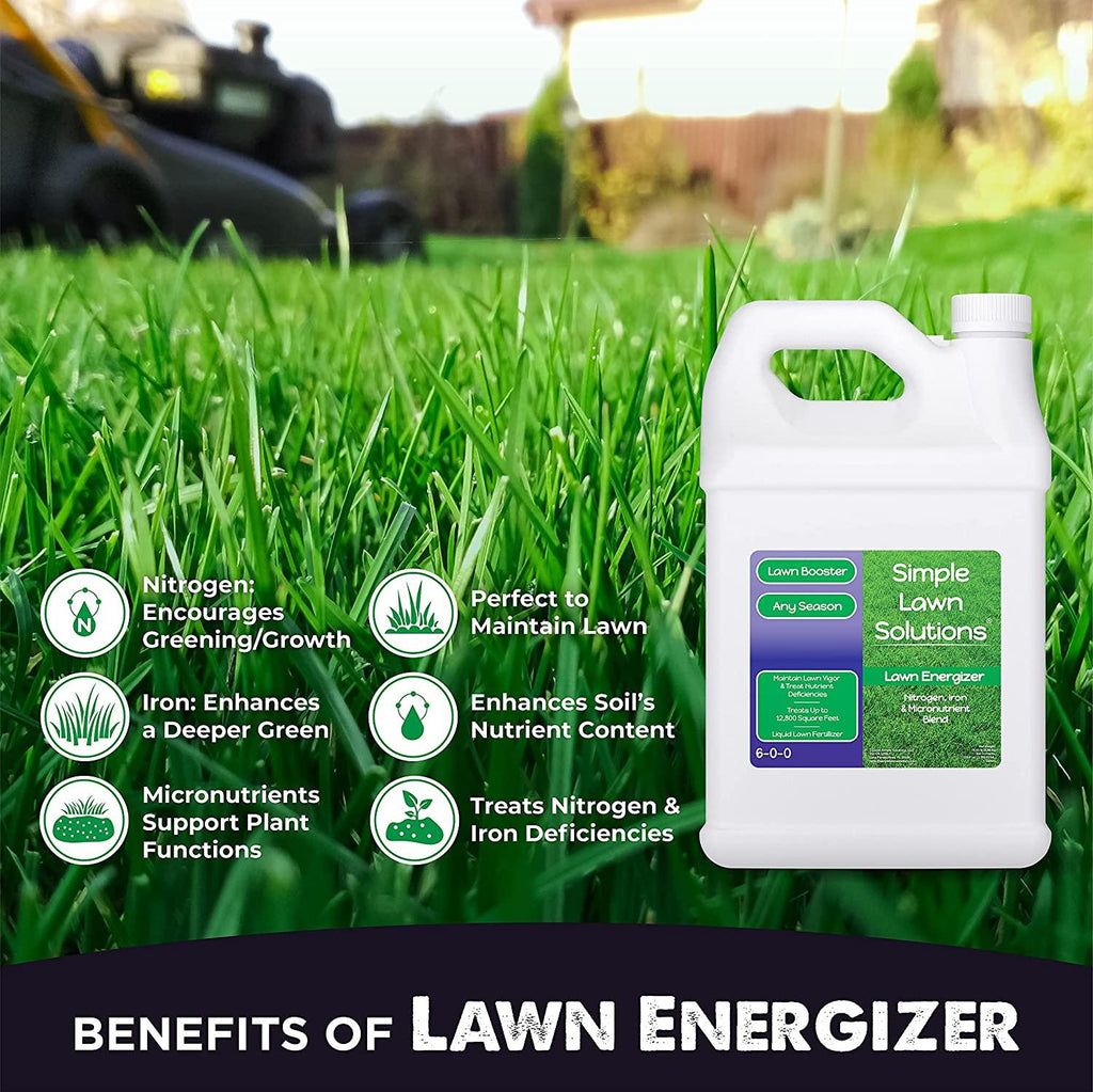 simple lawn solutions - ryan knorr - gallon bundle- lawn essentials bundle box - 3 x 1 gallon set - lawn food 16-4-8 fertilizer, lawn energizer booster, soil hume- seaweed, humic acid (gallon bundle)