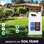 simple lawn solutions - ryan knorr - gallon bundle- lawn essentials bundle box - 3 x 1 gallon set - lawn food 16-4-8 fertilizer, lawn energizer booster, soil hume- seaweed, humic acid (gallon bundle)