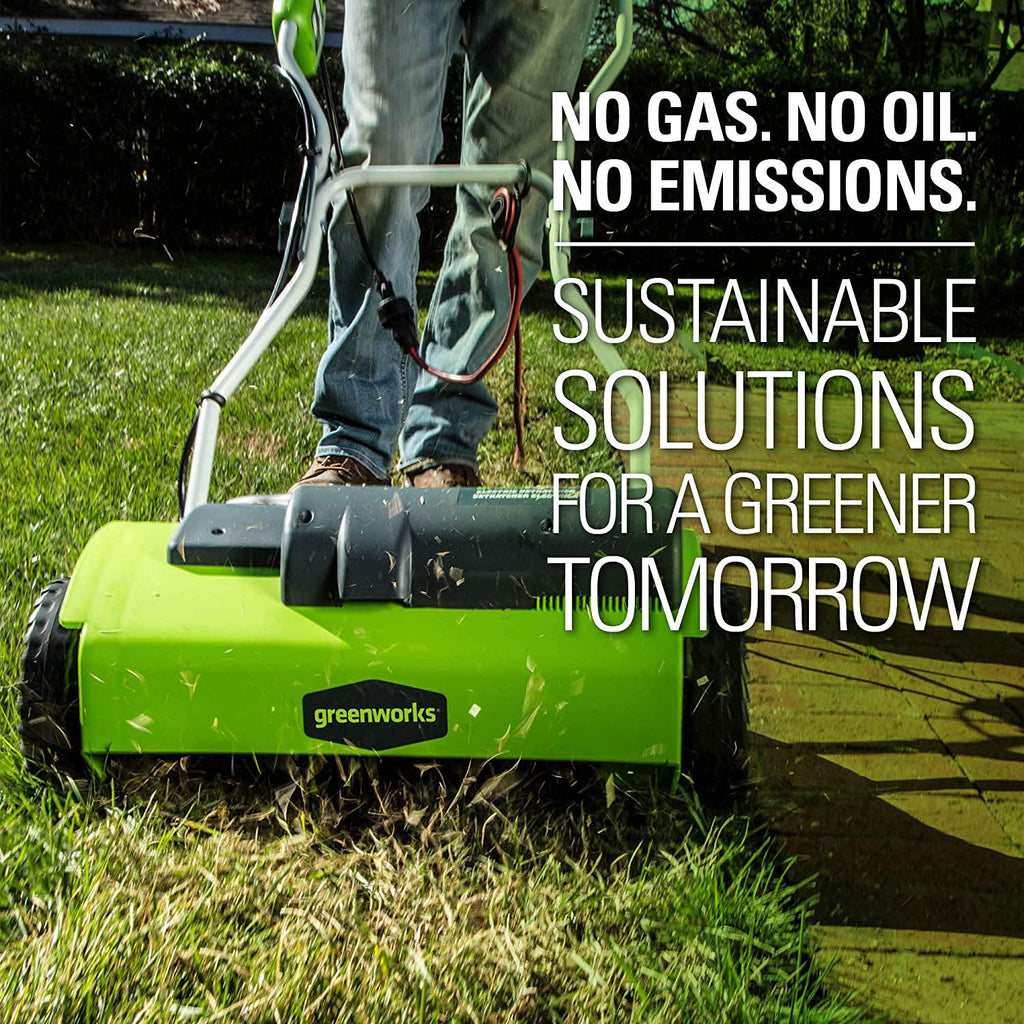 Greenworks 10 Amp 14-Inch Corded Dethatcher, 27022