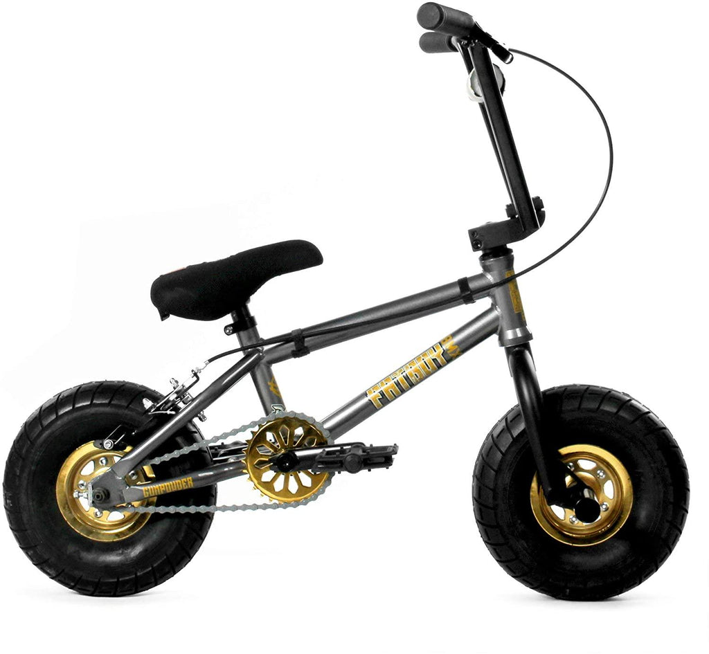 Fatboy Pro X Mini BMX Bike