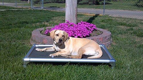 Kuranda Dog Bed - Chewproof - All Aluminum (Silver) - Indoor/Outdoor - Elevated - Bite Proof - Easy to Clean - Dries ly - Heavy Duty Vinyl Fabric