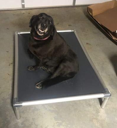 Kuranda Dog Bed - Chewproof - All Aluminum (Silver) - Indoor/Outdoor - Elevated - Bite Proof - Easy to Clean - Dries ly - Heavy Duty Vinyl Fabric