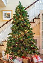 Garden Elements Penn Spruce Christmas Tree- 900 Multi-Colored Lights, 6.5'
