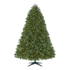 7.5 ft Waldorf Fir Christmas Tree
