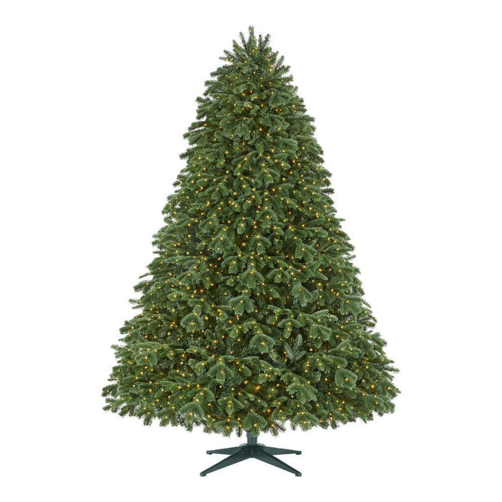 7.5 ft Waldorf Fir Christmas Tree