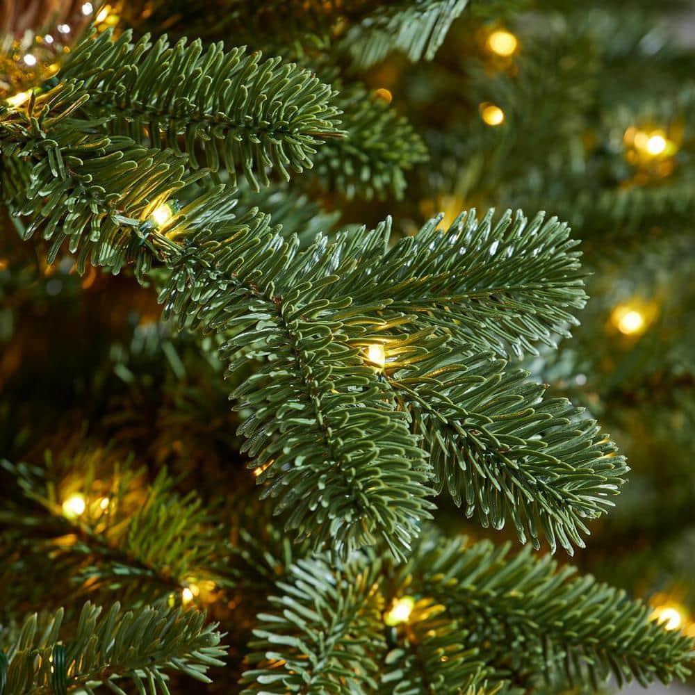 7.5 ft Waldorf Fir Christmas Tree