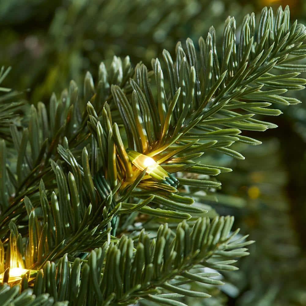 7.5 ft Waldorf Fir Christmas Tree