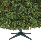 7.5 ft Waldorf Fir Christmas Tree
