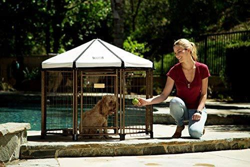 Advantek Pet Gazebo