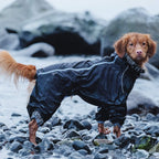 Hurtta Downpour Suit, Weatherproof Dog Rain/Snow Coat