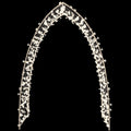 88 in. Archway with Warm WHT LEDS Clear Floral Cap/Trans Cord/8 Function
