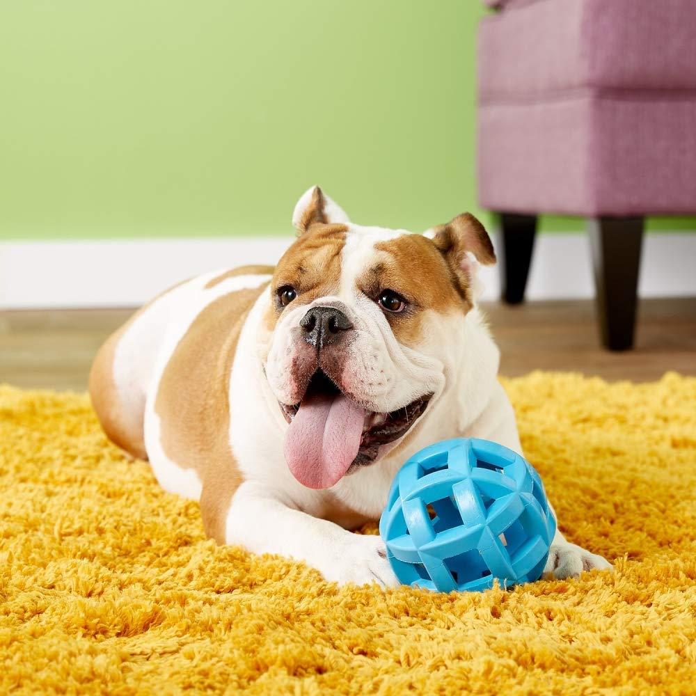 JW Pet Company HOL-ee Roller X Extreme 5 Dog Toy, 5-Inches (Colors Vary) - 43140 - Pack of 5