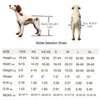 Pet Wheelchair, Adjustable Dog Wheelchair Rear Support Wheelchair Hind Legs Rehabilitation Aluminium Material 2 Wheels Light Weight,X