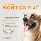Moots Premium Leatherette Pets Sofa Charcoal, Large