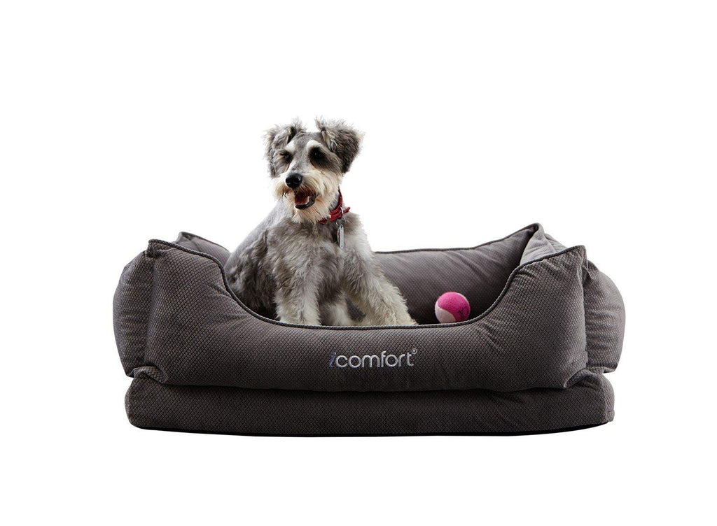 iComfort Cuddler Pet Bed with Cooling Comfort Gel Memory Foam, Medium, Gray