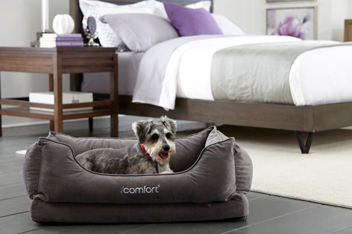 iComfort Cuddler Pet Bed with Cooling Comfort Gel Memory Foam, Medium, Gray