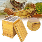 cedar brood box honey beehive box beekeeping box for beekeepers