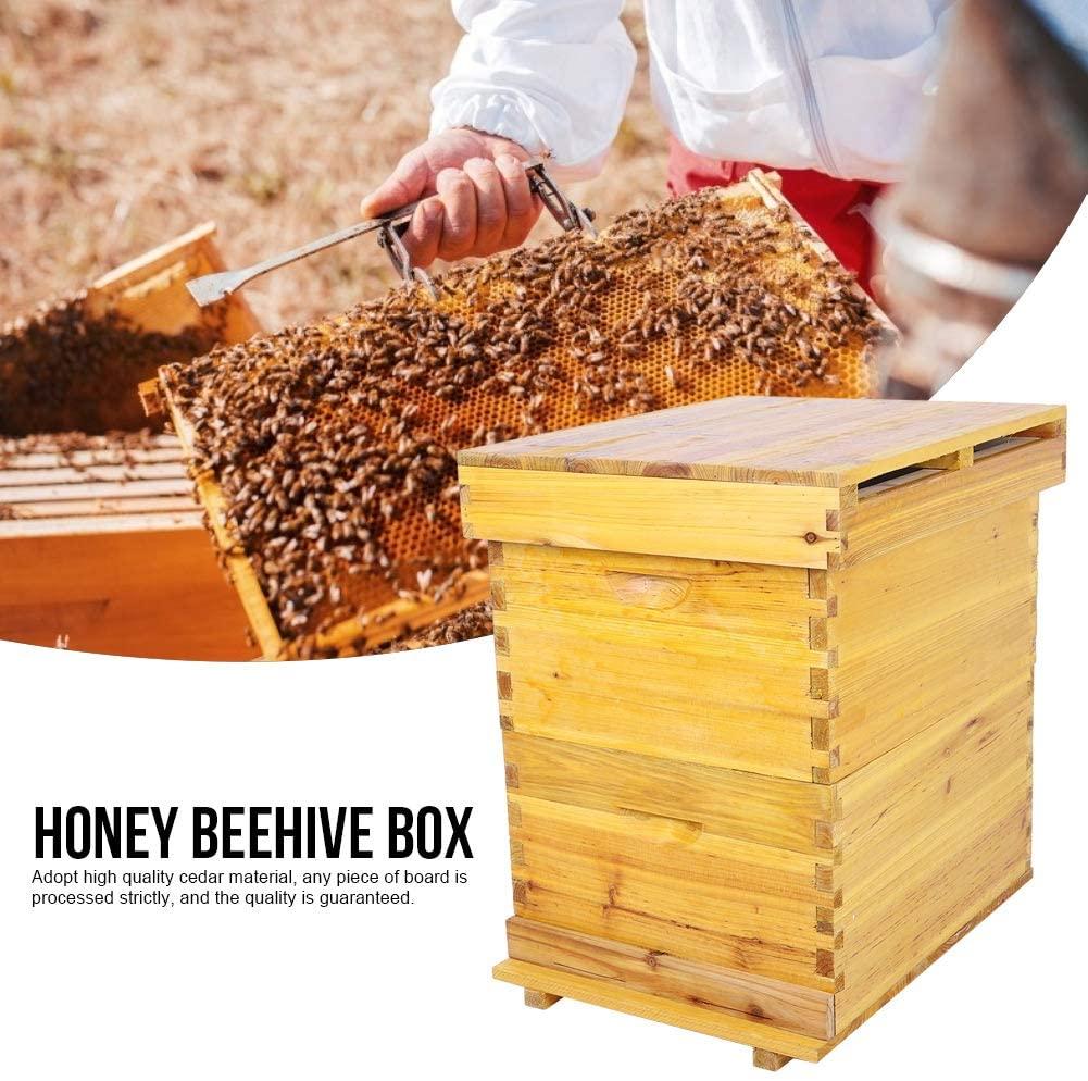 cedar brood box honey beehive box beekeeping box for beekeepers