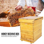 cedar brood box honey beehive box beekeeping box for beekeepers