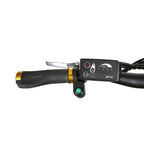 20" Electric Bike Fat Tire Folding Mini Cruiser 350W Brush-Less Motor, 48V 10Ah Lithium-ion Battery,  6 Speed Gears-Black