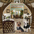 Dog Diggin s Cloud 9 Bed Collection | Soft, Stylish, Comfortable, Eye-Catching  | Machine Washable Removable Cover for Easy Cleaning