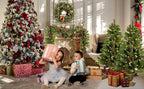 Pre-lit Artificial Christmas 4-Piece Set,, Wreath and 2 Entrance Trees US