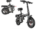 Sunvit Electric Bikes for Folding,250W eBike,Electric Bicycle with Ten-weight Shock Absorption,Black