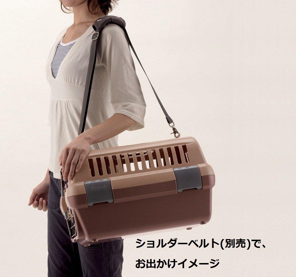 Richell Camping Carry S Brown (japan import) by Ritschel