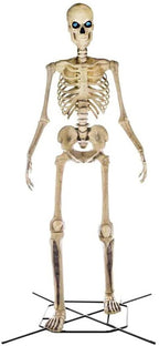 home accents 12 ft. giant-sized skeleton with lifeeyes