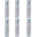 unicel clean &amp; clear plus replacement cartridge filter c-7471 pcc (6 pack)