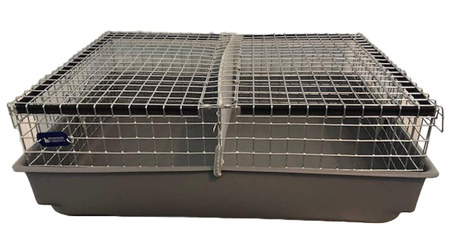 All Things Bunnies 2 Hole Cavy/Chinchilla Carrier/Transport Cage