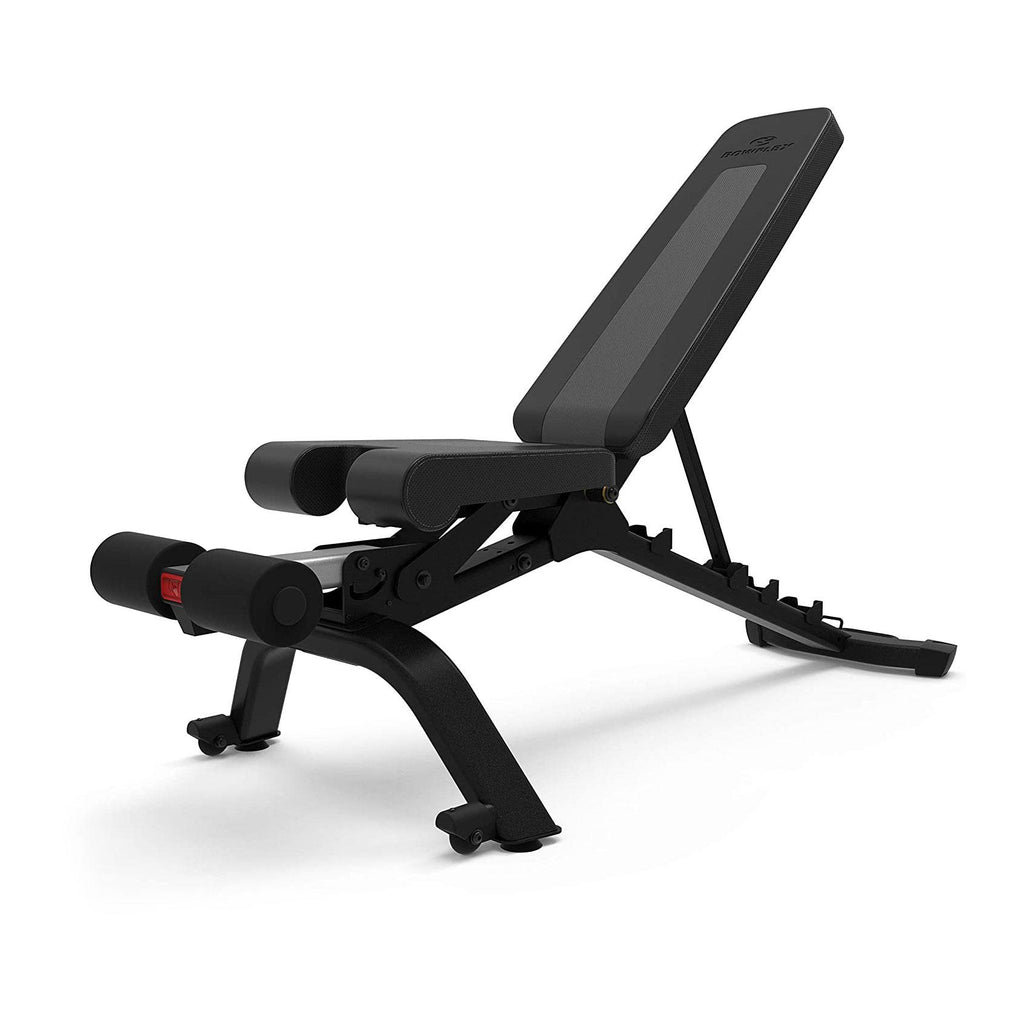 Bowflex SelectTech 4.1S Adjustable Incline and Decline Exercise Workout Weight Lifting Bench