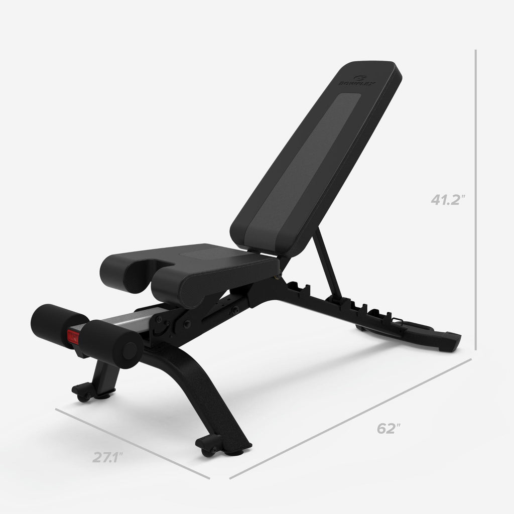 Bowflex SelectTech 4.1S Adjustable Incline and Decline Exercise Workout Weight Lifting Bench