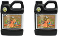 advanced nutrients 8560-15ab ph perfect sensi bloom coco part a+b, 4 liter, brown/a