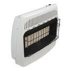 Dyna-Glo 30,000 BTU Natural Gas Infrared Vent Wall Heater
