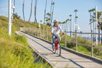 Schwinn Sanctuary 7 Cruiser Bike, Featuring Retro-Styled 16-Inch/Small Step-Through and 18-Inch/Medium Step-Over Steel Frames, 7-Speed Drivetrain, Front and Rear Fenders, Rear Rack, and 26-Inch Wheels