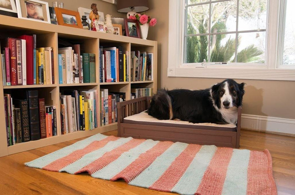 APet ecoFLEX Dog Bed w/Removable Cushion
