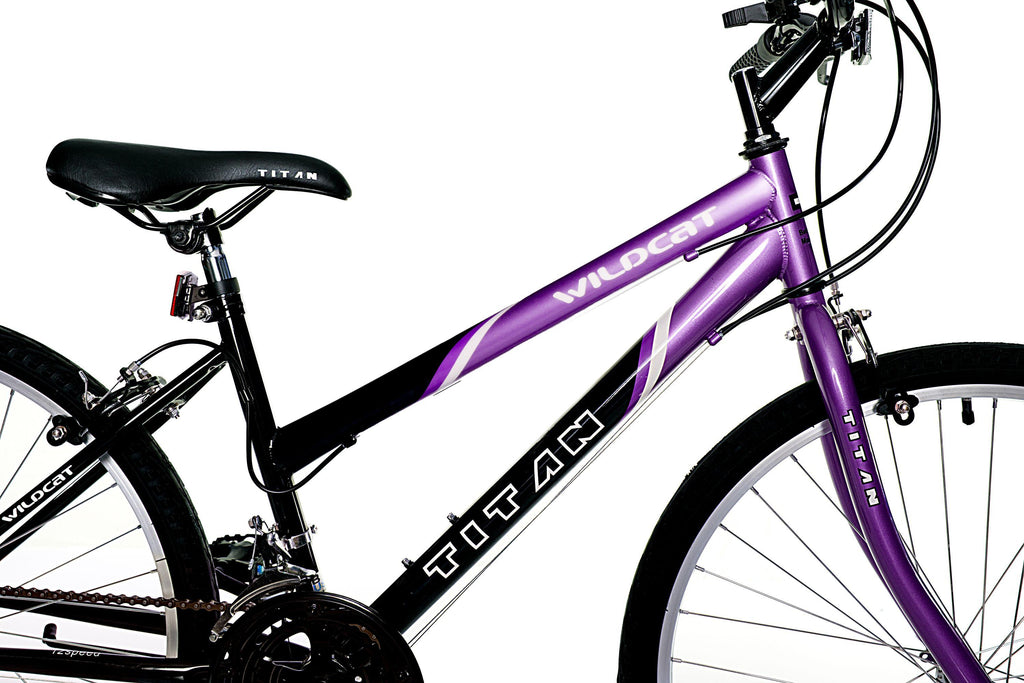 Wildcat 18-Speed Women's Mountain Bike, Purple and Black